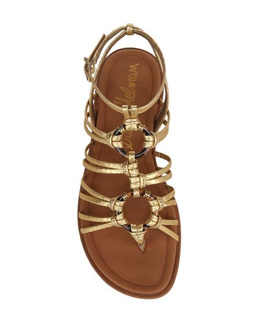 Sam Edelman Brown Raye Gladiator Sandal