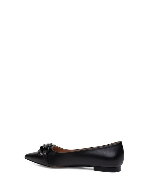 Linea Paolo Black Nora Pointed Toe Flat