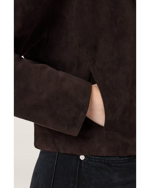 AllSaints Black Ryder Suede Jacket