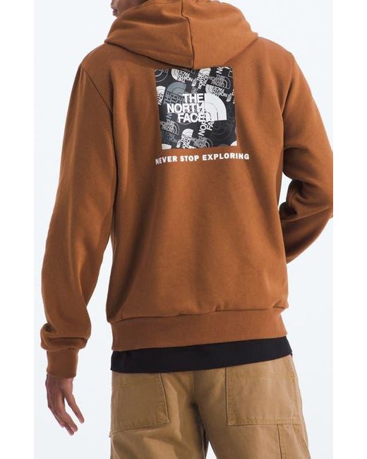 The North Face Brown Evolution Graphic Hoodie for men