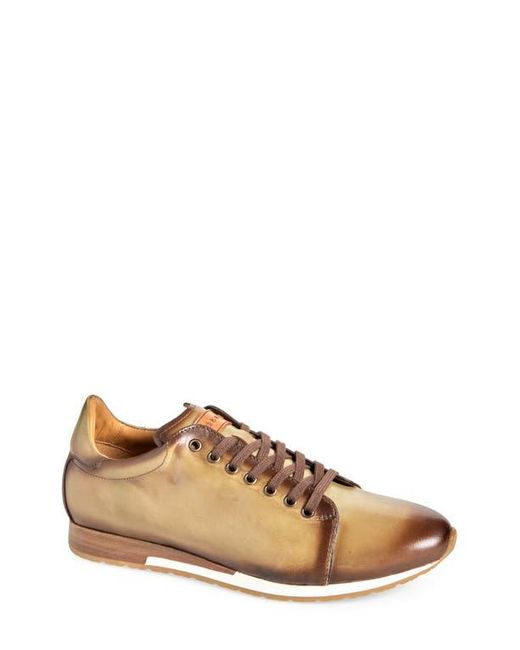 Mezlan Brown Hybrid Sneaker for men