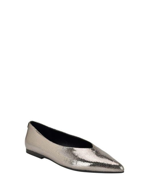 Calvin Klein Multicolor Gemeen Pointed Toe Flat