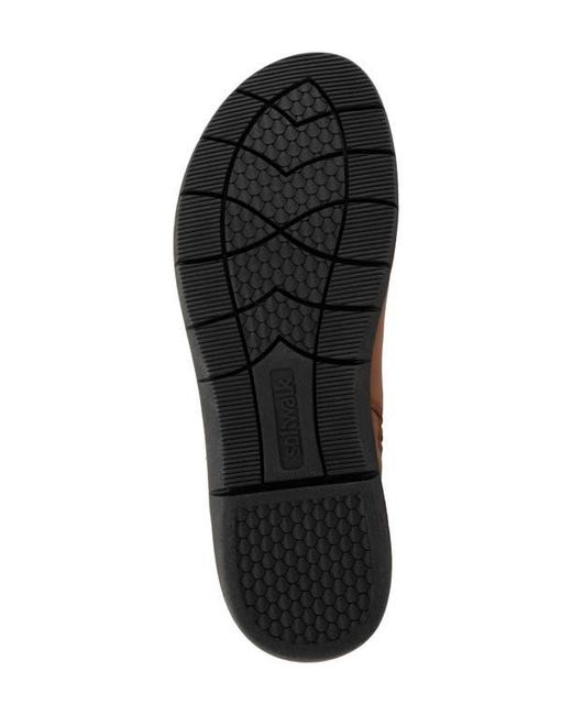 Softwalk® Brown Adelaide Bootie