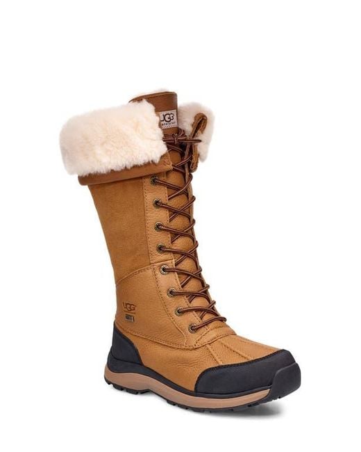 Ugg Brown ugg(r) Adirondack Iii Waterproof Tall Boot