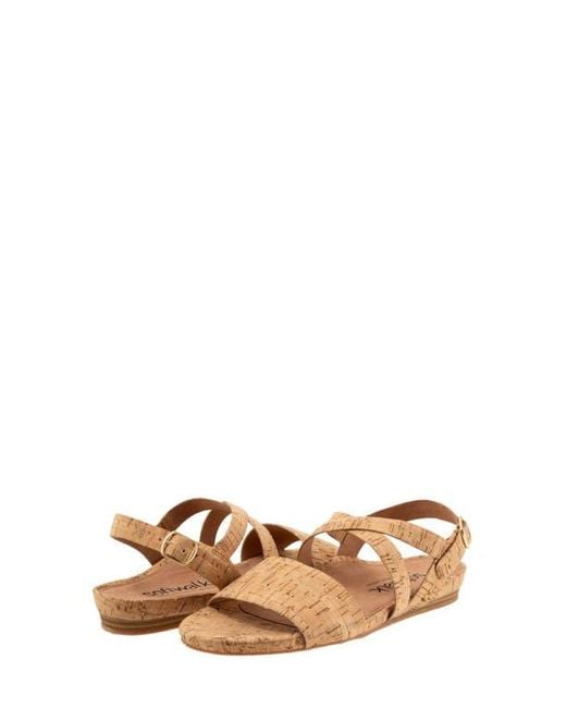 Softwalk® Brown Cali Sandal