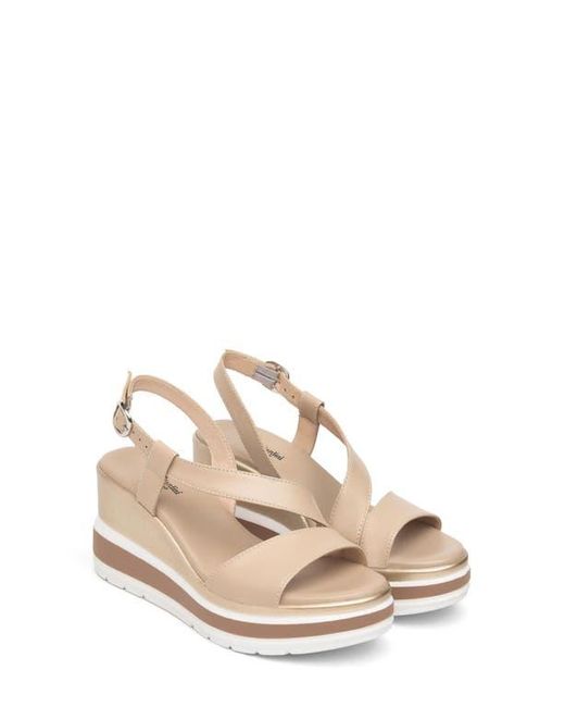 Nero Giardini Metallic Platform Wedge Sandal