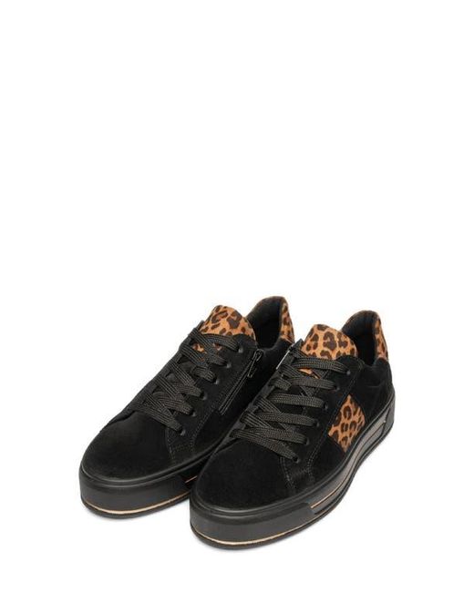 Ara Black Conifer Sneaker