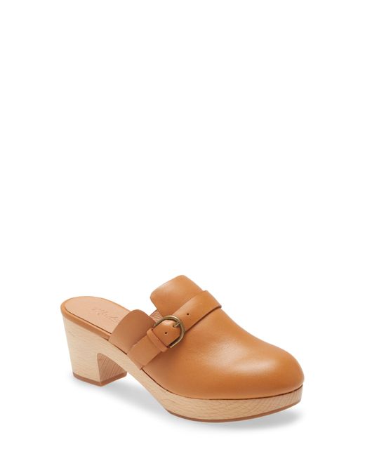 Madewell Brown Monique Buckle Clog