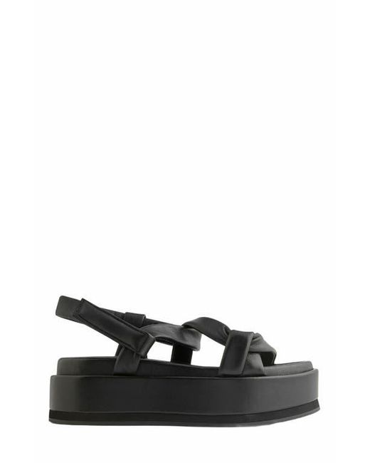 Neil J. Rodgers Black Obi Flatform