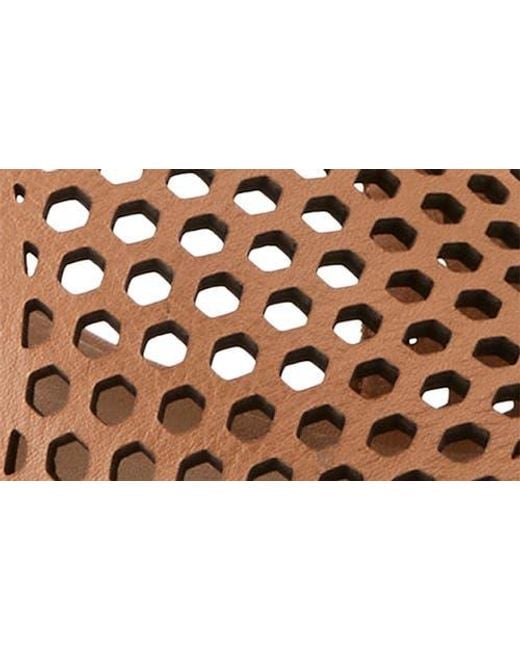 Spring Step Brown Gosset Sandal