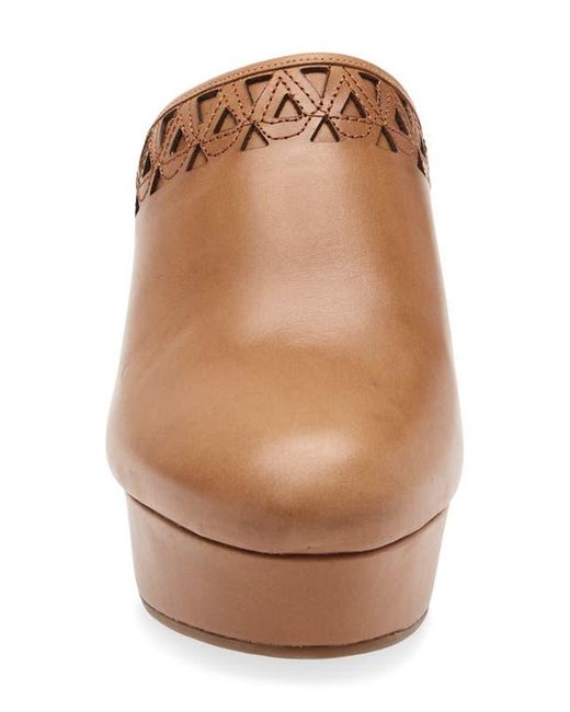 Chocolat Blu Brown Gannet Platform Clog