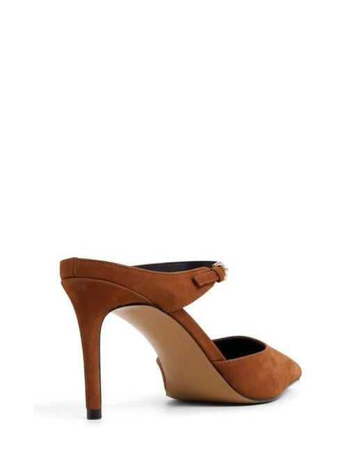 ALDO Brown Sidnney Pointed Toe Pump