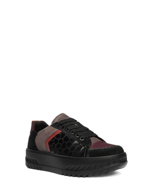 Ara Black Mamba Platform Sneaker