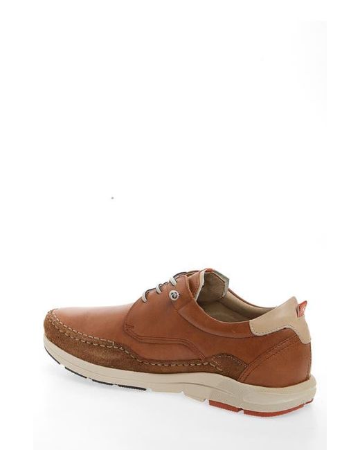 Fluchos Brown Kai Sneaker for men