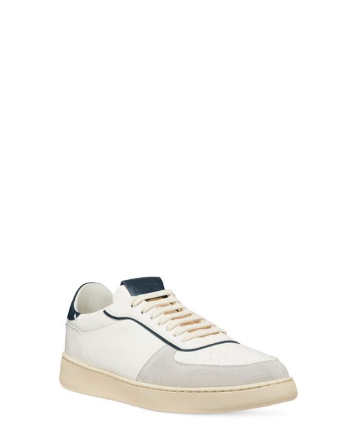 stuart weitzman cristy sneaker