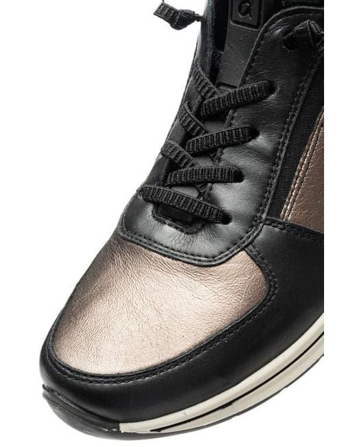 Ara Black Ovation Sneaker