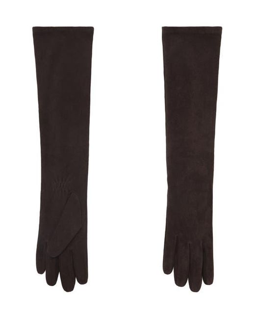 Mango Black Selection Suede Opera Gloves
