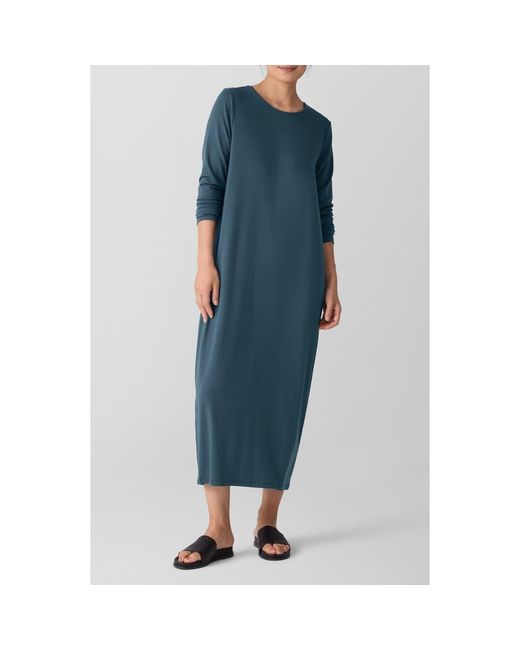 Eileen Fisher Blue Long Sleeve Maxi Dress