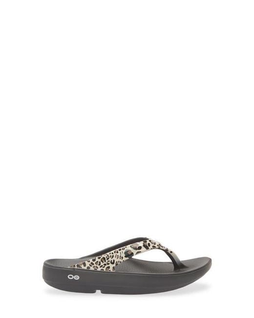 OOFOS Gray Oolala Flip Flop