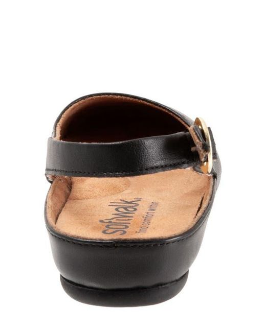 Softwalk® Multicolor Sandy Slingback Flat