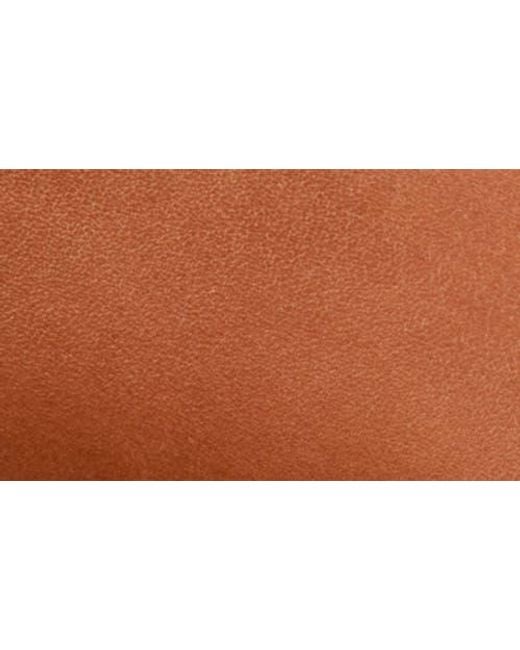 Softwalk® Brown Arvada Mule