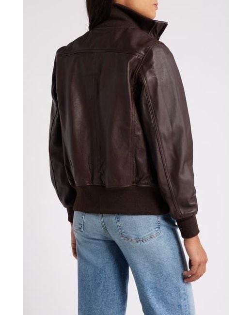 Schott Nyc Brown Leather Flight Jacket