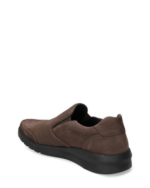 Mephisto Brown Will Sneaker for men