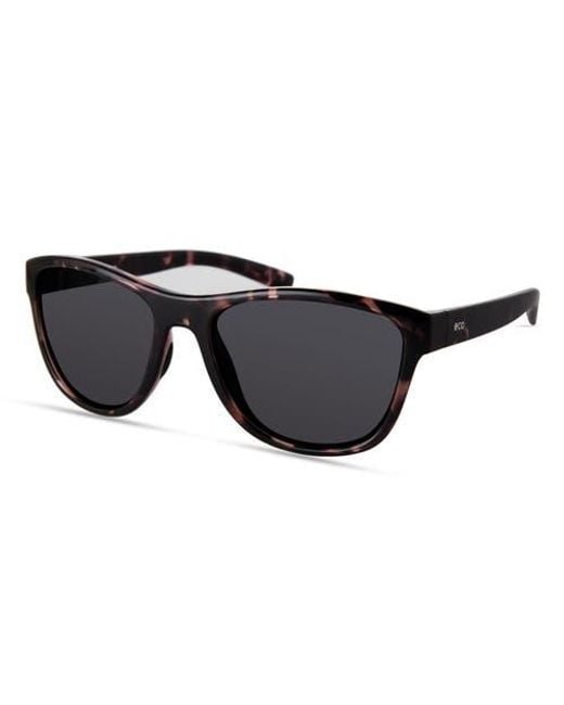 Eco Black Ida Sunglasses