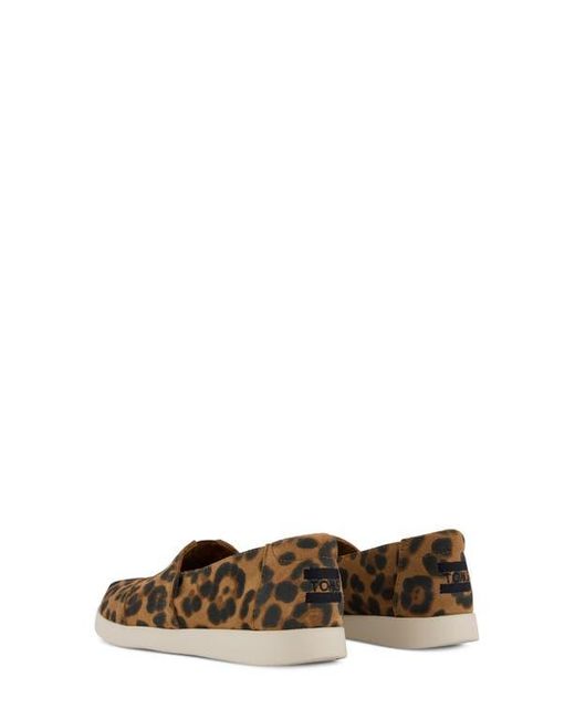 TOMS Brown Alpargata Plus Slip-On