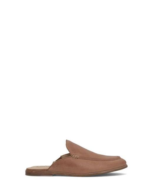 Frye Brown Faith Mule