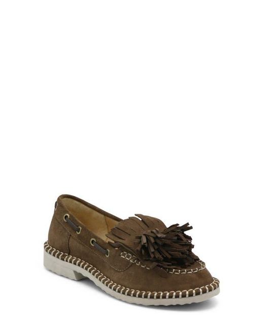 Charles David Brown Poppy Kiltie Fringe Loafer