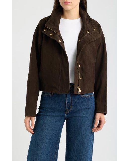 AllSaints Black Ryder Suede Jacket