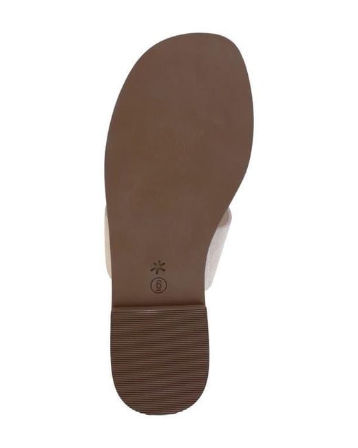 Splendid Multicolor Lily Toe Loop Sandal