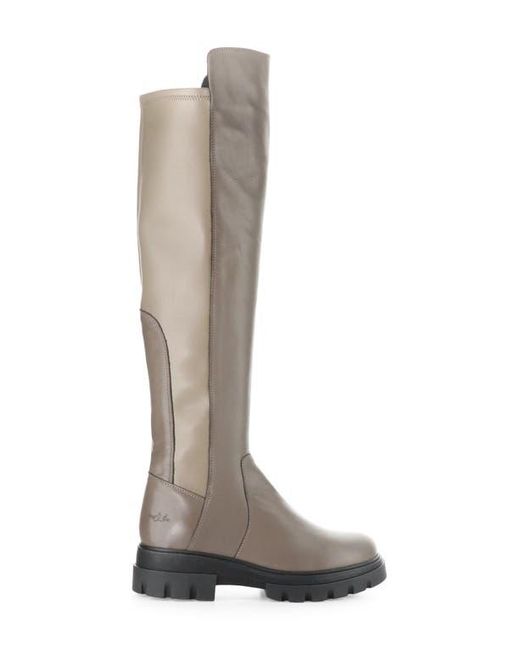 Bos. & Co. Brown Fifth Waterproof Knee High Boot