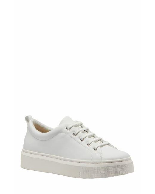ABEO White Jumpstreet Bungee Sneaker