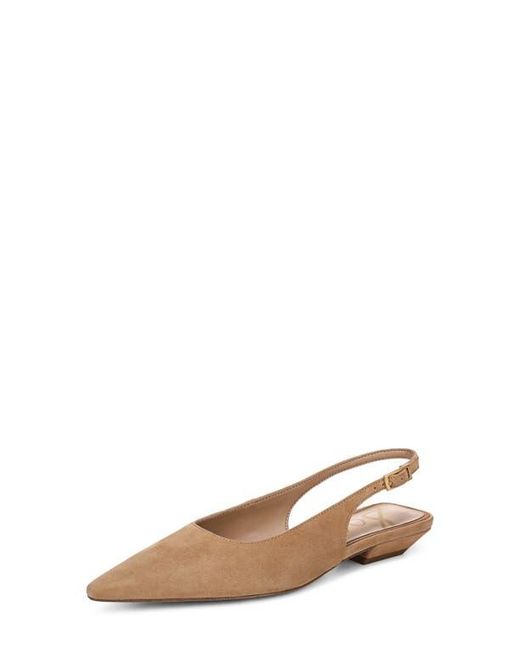 Sam Edelman Brown Netty Slingback Pointed Toe Flat