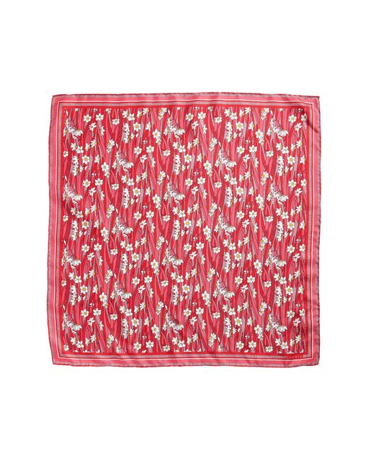 Liberty Pink Daisy Lawn Floral Silk Scarf