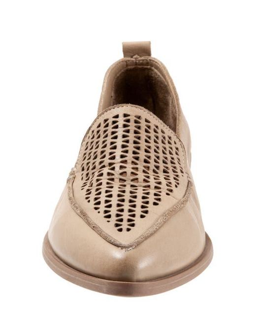 BUENO Brown Blazey Pointed Toe Flat
