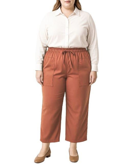 Standards & Practices Multicolor Crop Pants