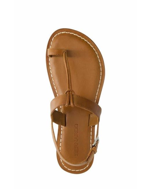 Bernardo Brown Maverick 2 Toe Loop Sandal