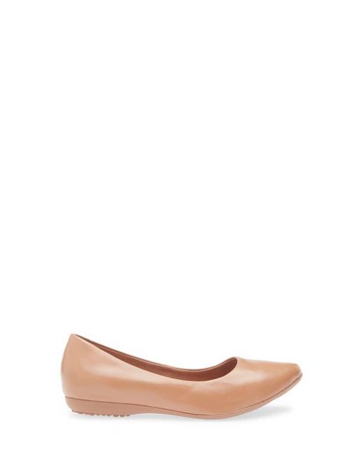 BOTTER Pink Botdogs Ballet Flat