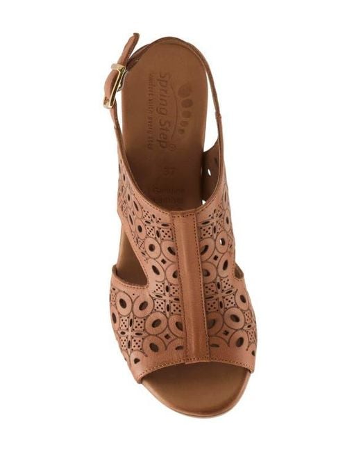 Spring Step Brown Kovach Slingback Sandal