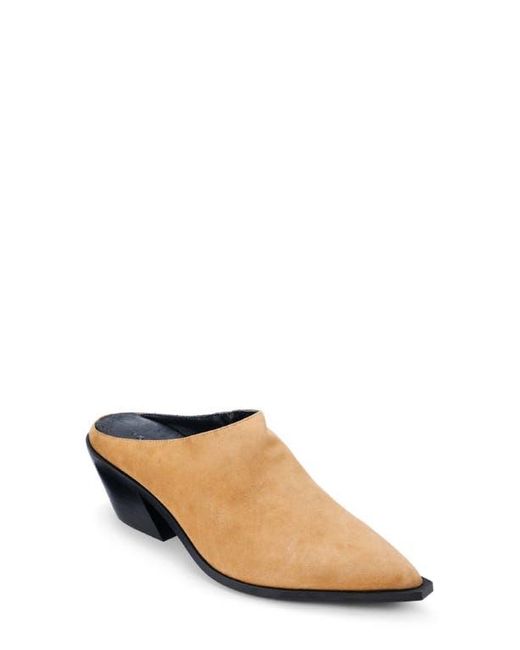 Yosi Samra Brown Savile Pointed Toe Mule