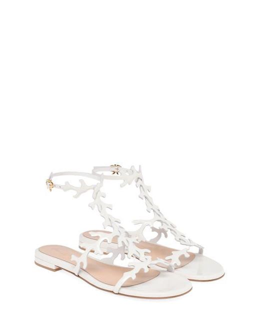 Gianvito Rossi Natural Ocean Flat, Flats