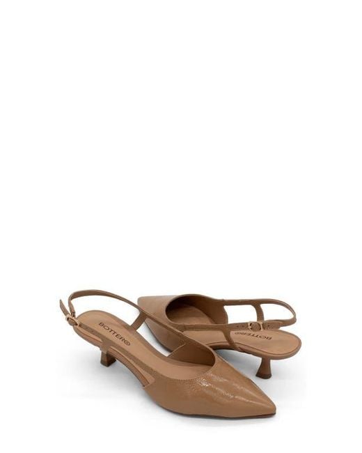BOTTER Brown Botolivia Legacy Pointed Toe Slingback Pump