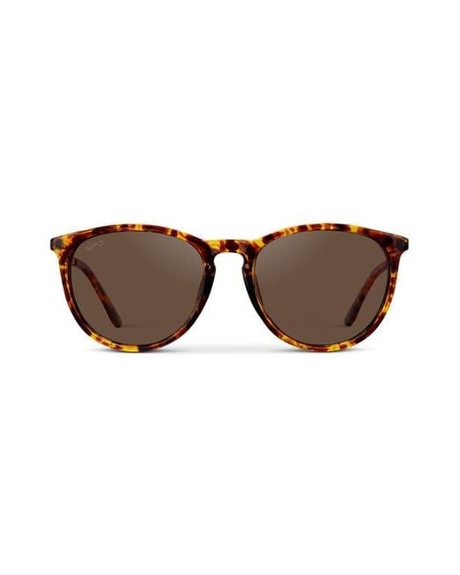 WMP Eyewear Brown Drew