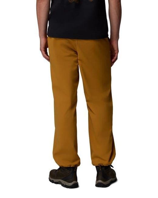 Columbia Brown High Cascades Water Repellent Pants for men