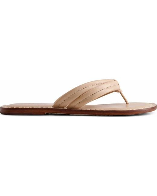 Bernardo Brown Miami Thong Sandal