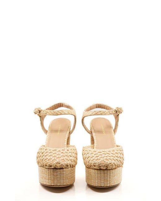 Andrea Gomez Natural Beatriz Platform