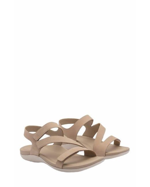 ABEO Brown Oasis Sandal